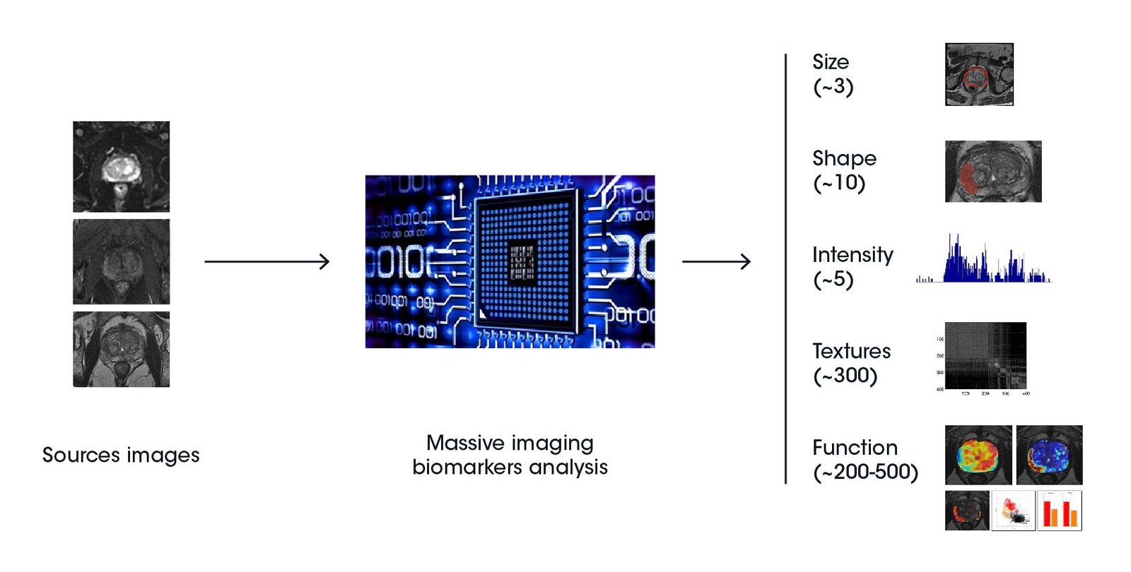 Radiomics features